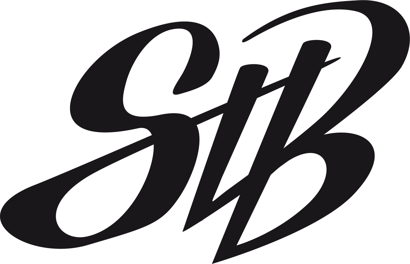 STBAYER Logo